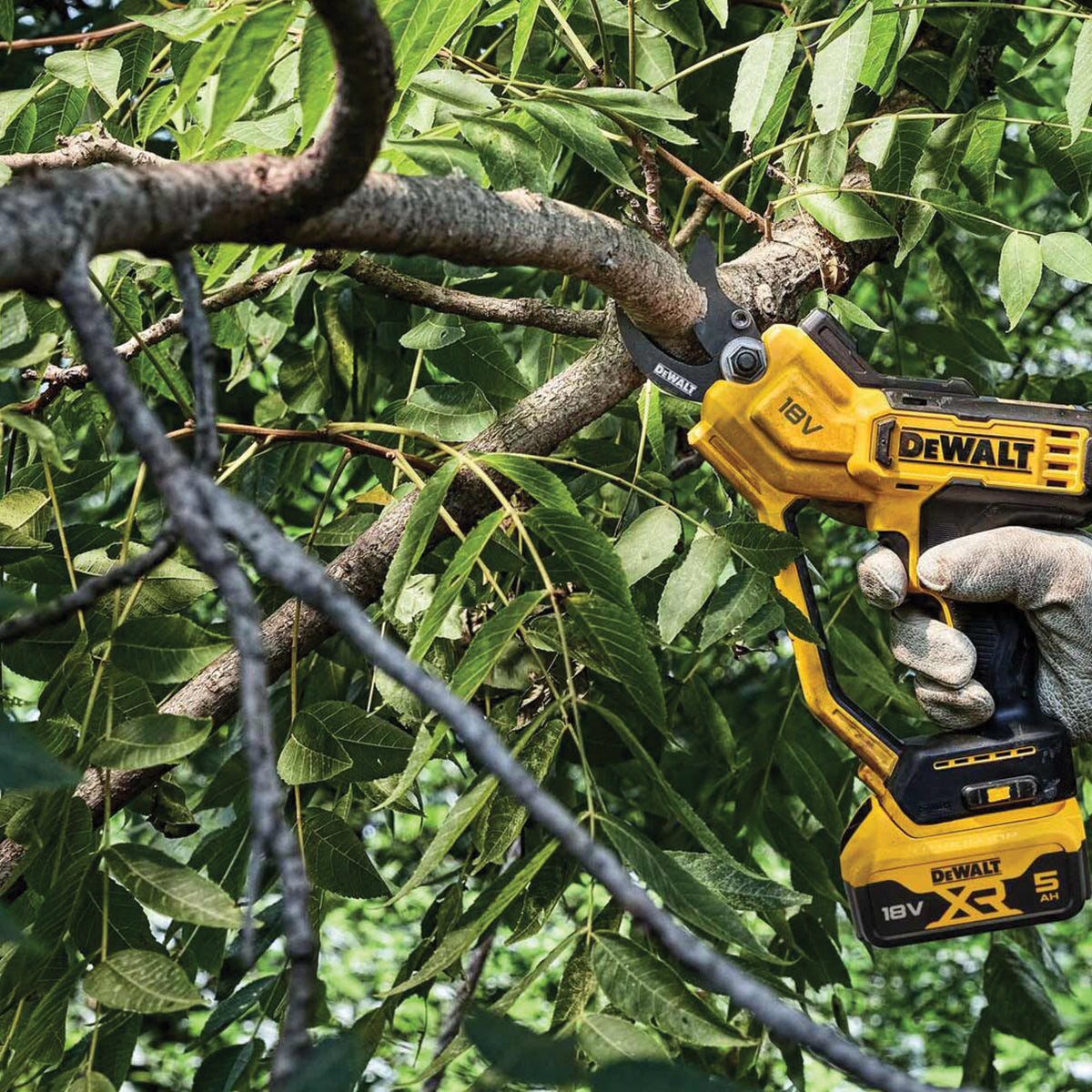 18V XR 5.0Ah Scissor Pruner in TSTACK CASE and ACCESSORIES - DeWALT - DCMPP568P1-QW 18V XR 5.0Ah Scissor Pruner in TSTACK CASE and ACCESSORIES - DeWALT - DCMPP568P1-QW